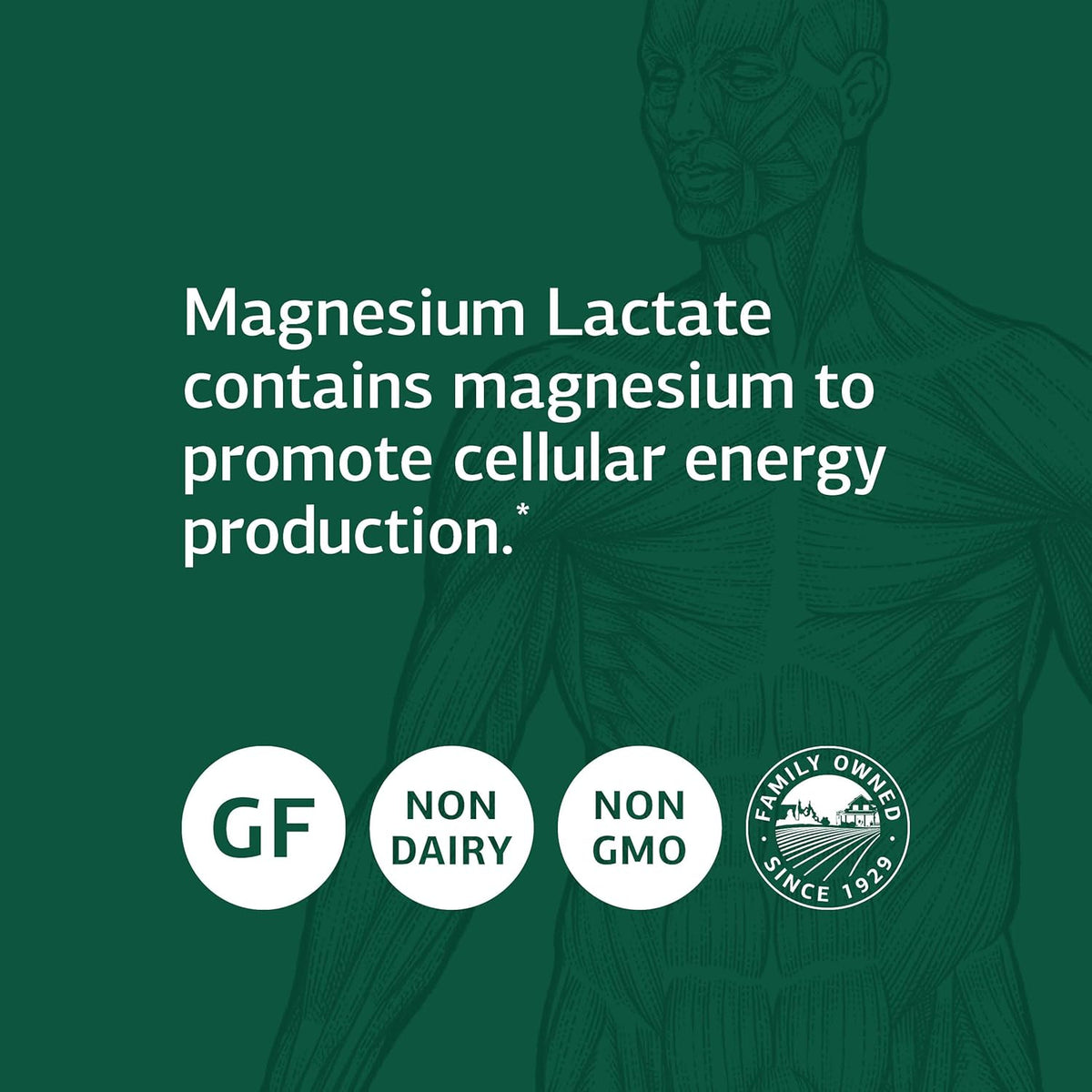 Magnesium Lactate Supplement 90 Capsules P555553