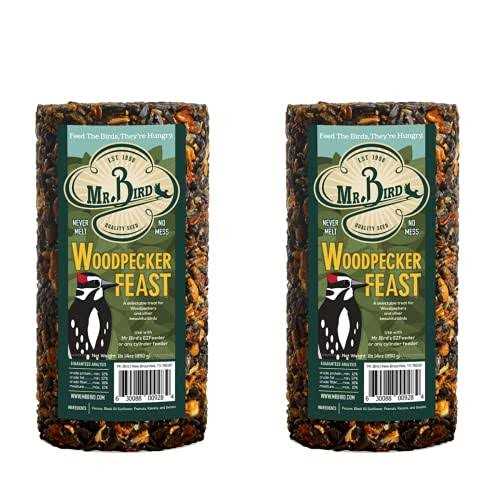 Woodpecker Feast Cylinder M272