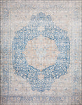 Blue Tangerine Rug 3'6 x 5'6 W341