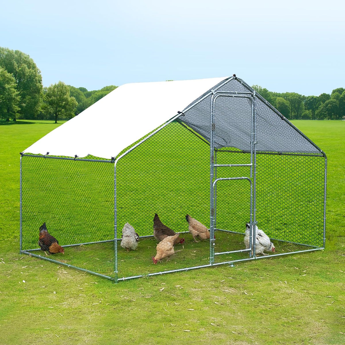 Large Metal Chicken Coop with Anti-UV Cover (9.8 * 6.6FT) X406207