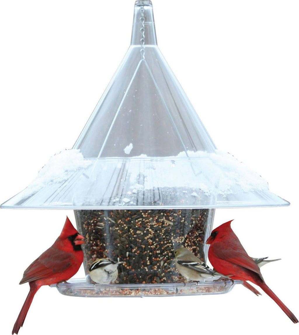 Bluebird Feeder V511