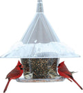 Bluebird Feeder V511