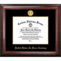 Gold Embossed Diploma Frame R758