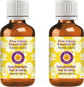 Pure Catnip Essential Oil Steam Distilled 100ml X 2 U3628