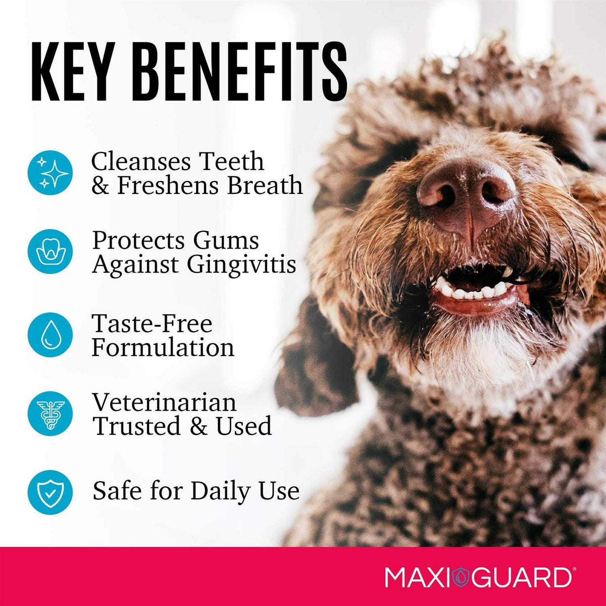 Cat Dog & Small Pet Dental Gel V187