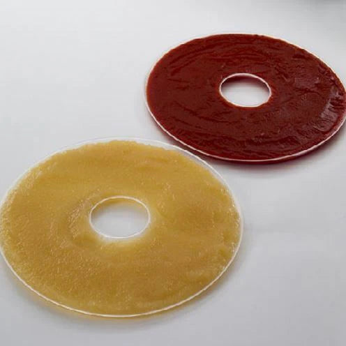Fruit Roll Sheet 2-pack C5734