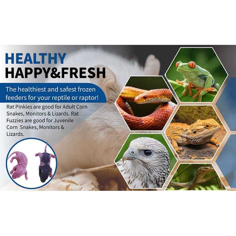 Frozen Mice Feeders Combo Pack 150 Count E38368