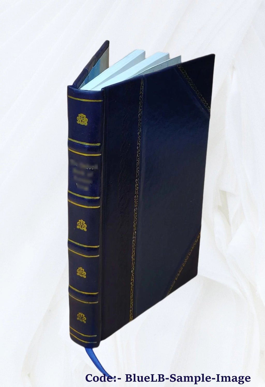 Leather Bound Book B116057