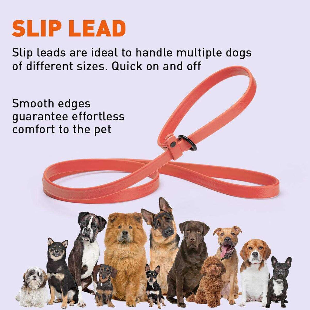 Biothane Slip Dog Leash C770342