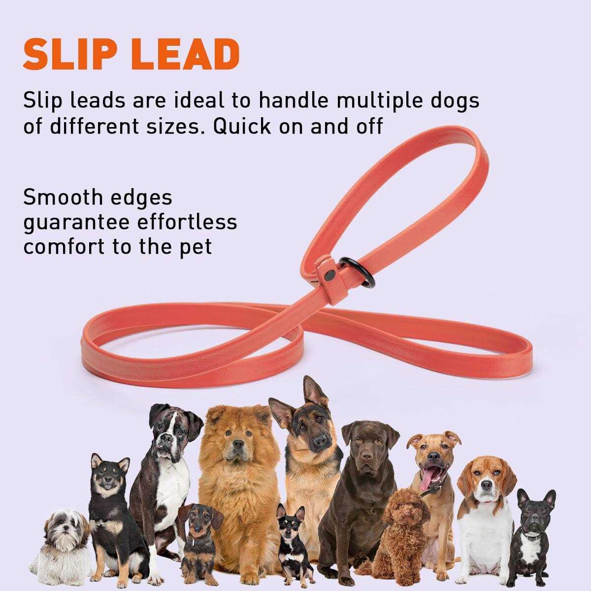 Biothane Slip Dog Leash C770342