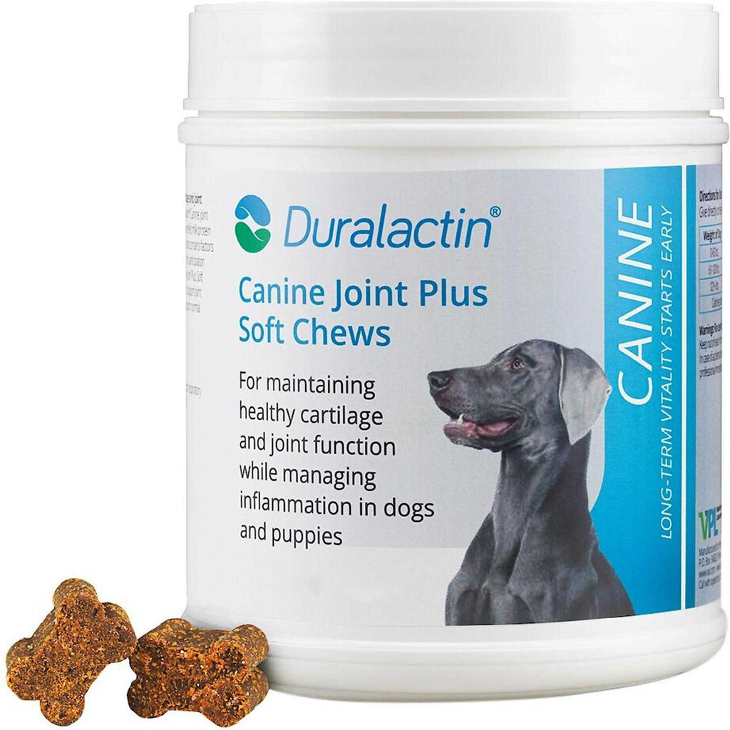Canine Joint Soft Chews I6908