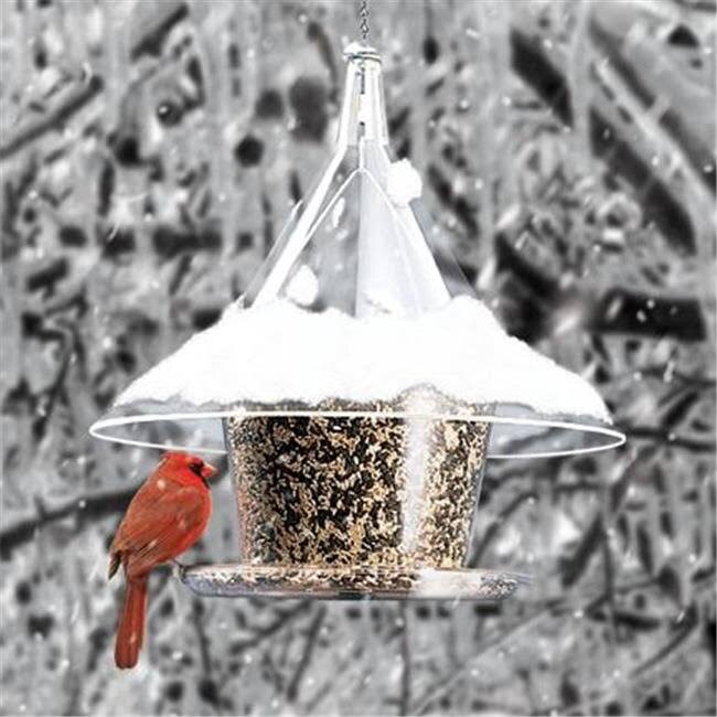 Bluebird Feeder V511