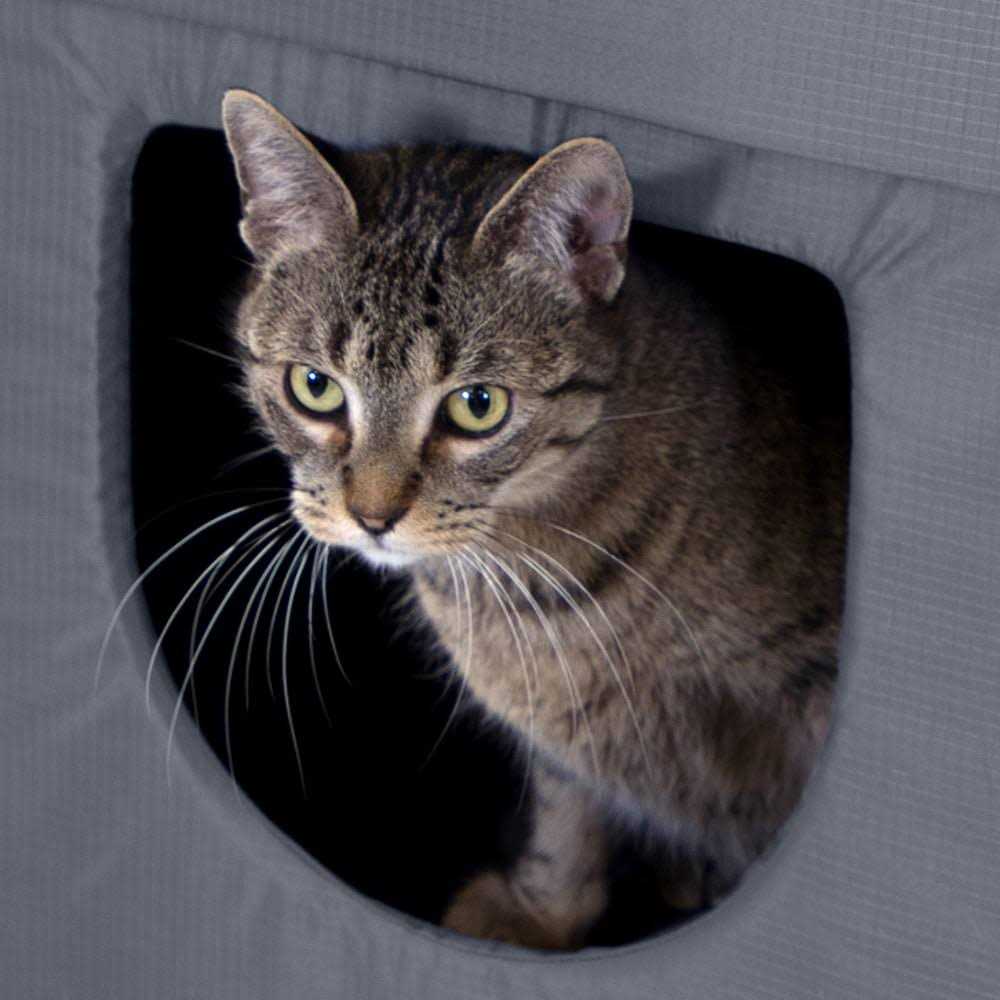Outdoor Cat House U78127