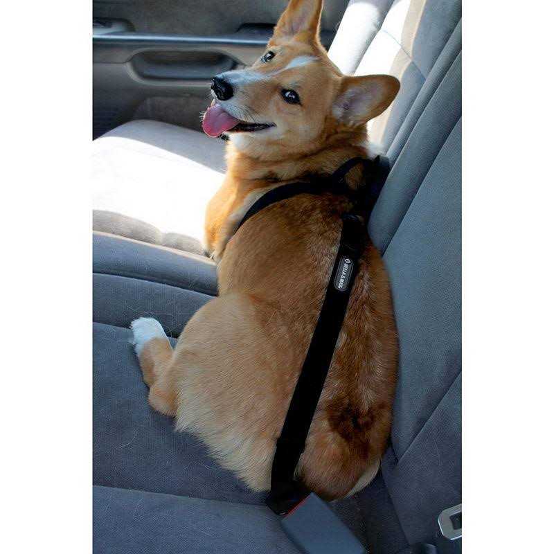 Pet Seat Belt P278