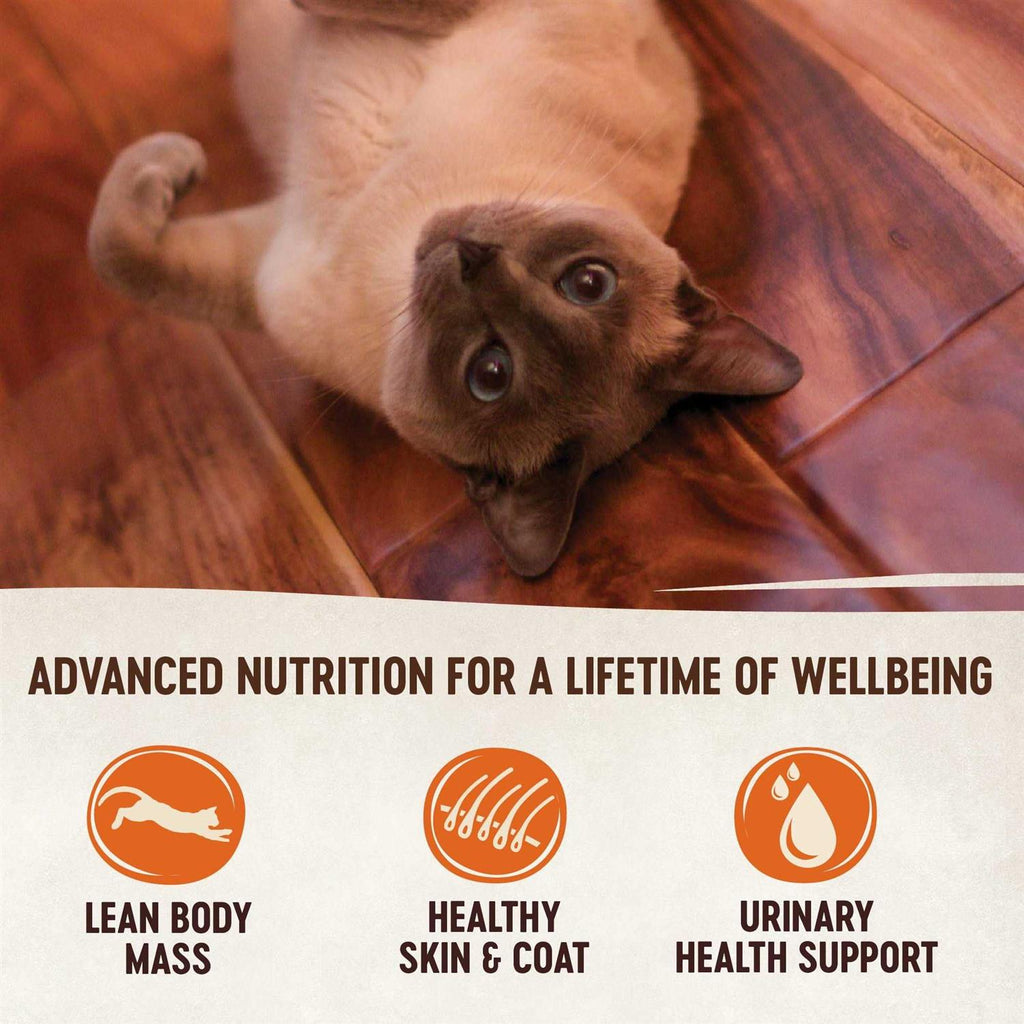 Natural Grain Free Indoor Chicken & Chicken Liver Smooth Pate Wet Canned Cat Food G359271