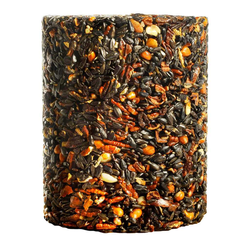 Woodpecker Feast Cylinder M272