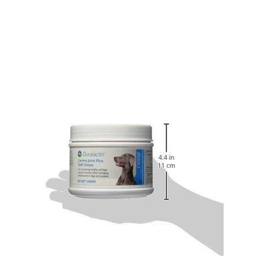 Canine Joint Soft Chews I6908