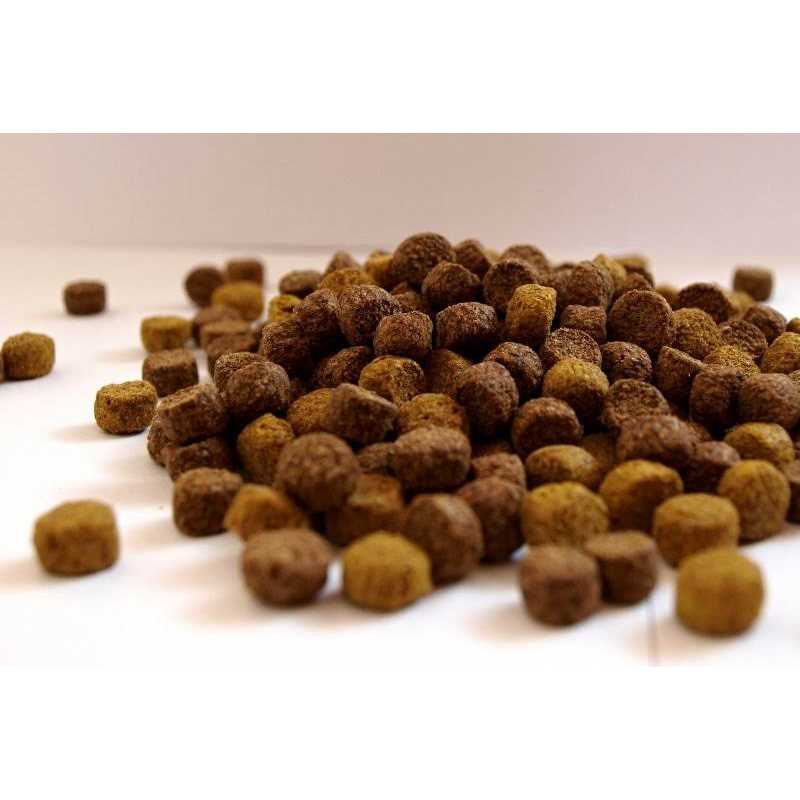 Grain Free Fish Meal Dog Food K40378