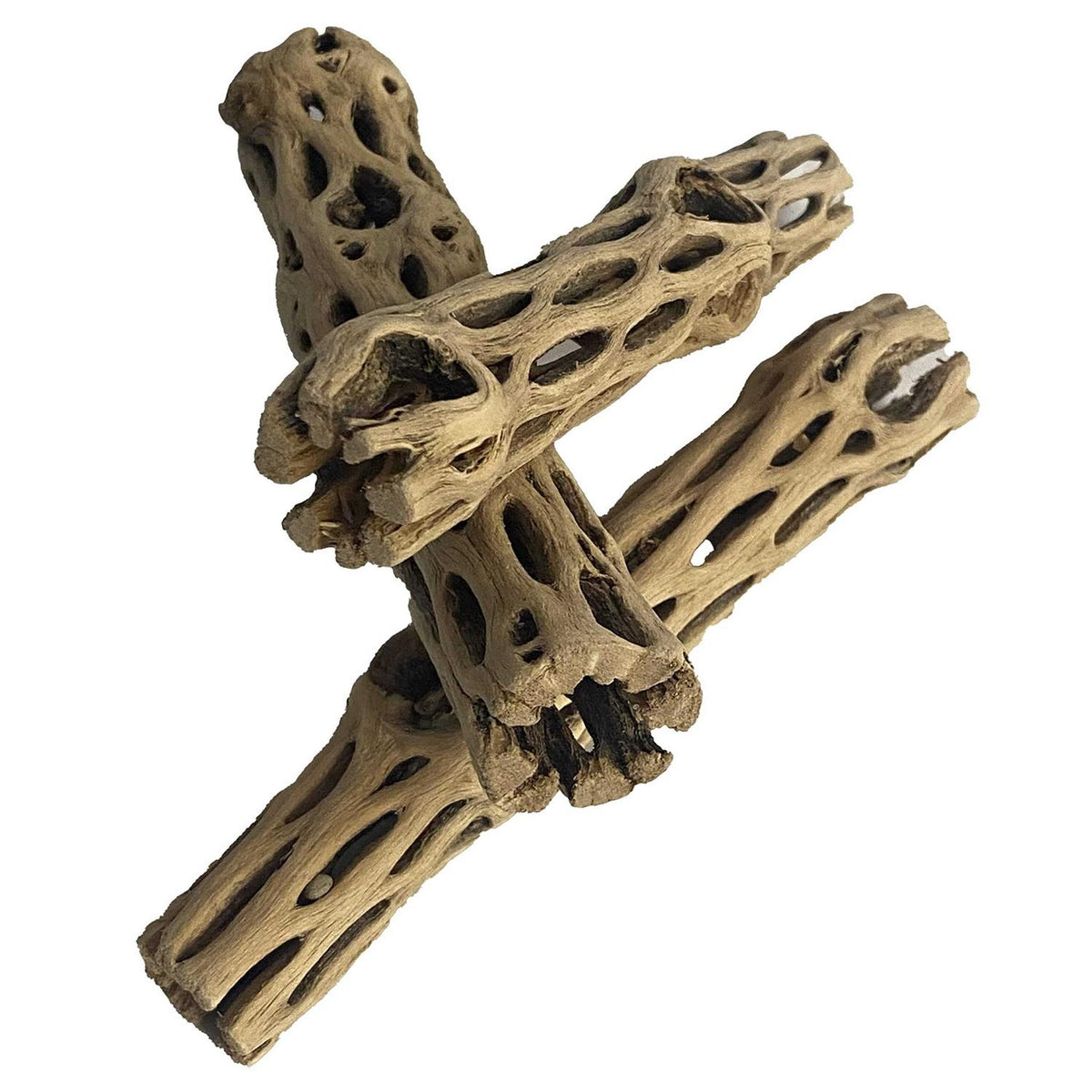 Natural Cholla Wood 3 Pieces Aquarium Decoration J54562