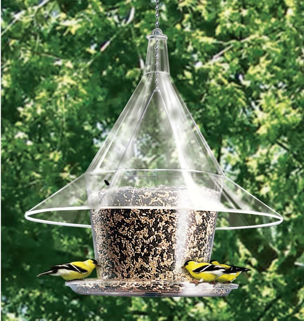 Bluebird Feeder V511