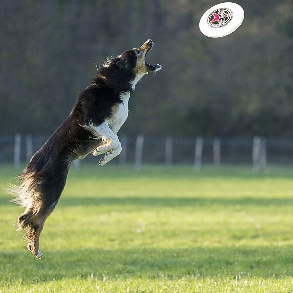 Flying Disc S79545