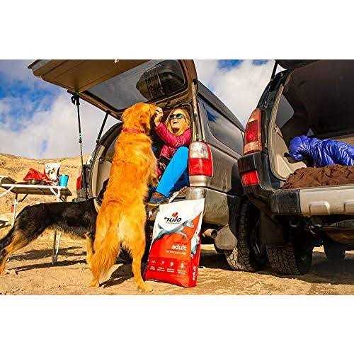 Turkey Dry Dog Food B882