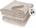 Champagne Heated Blanket Twin D3700
