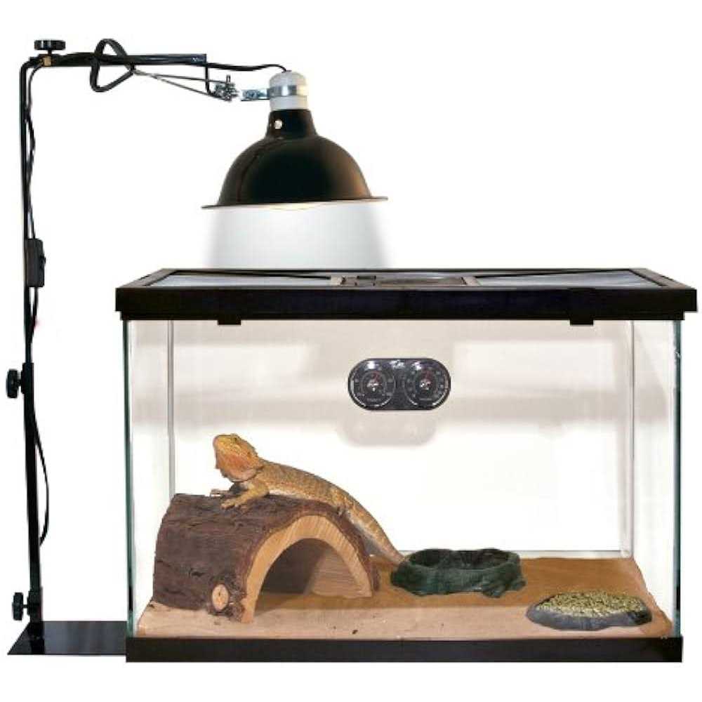 Reptile Lamp Stand Z902827