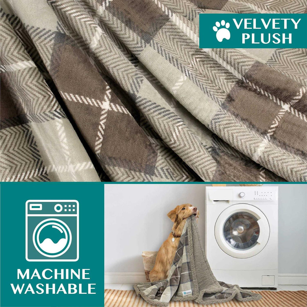 Dog Blanket V37869