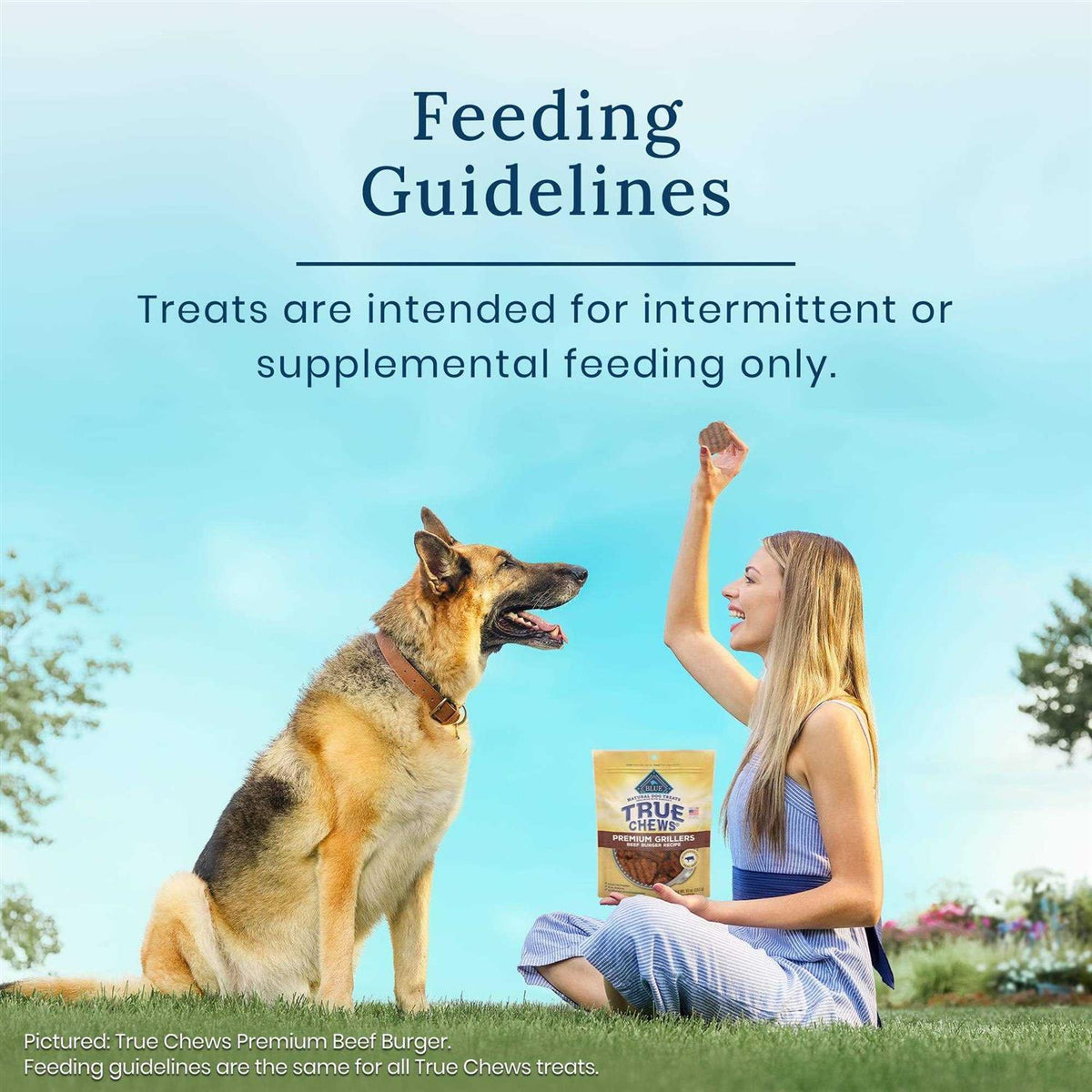 Premium Jerky Cuts Dog Treats Y605