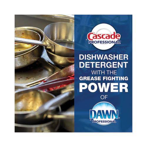 Automatic Dishwasher Powder 75 oz Q40491