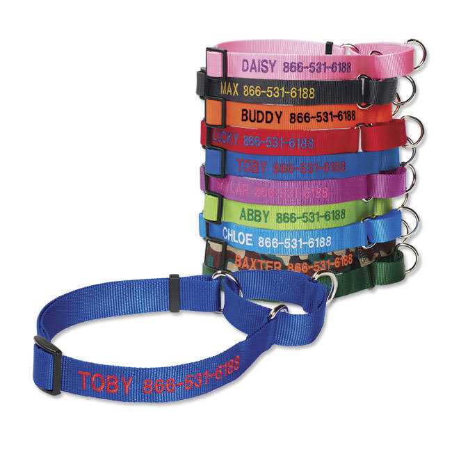 Martingale Collar M574