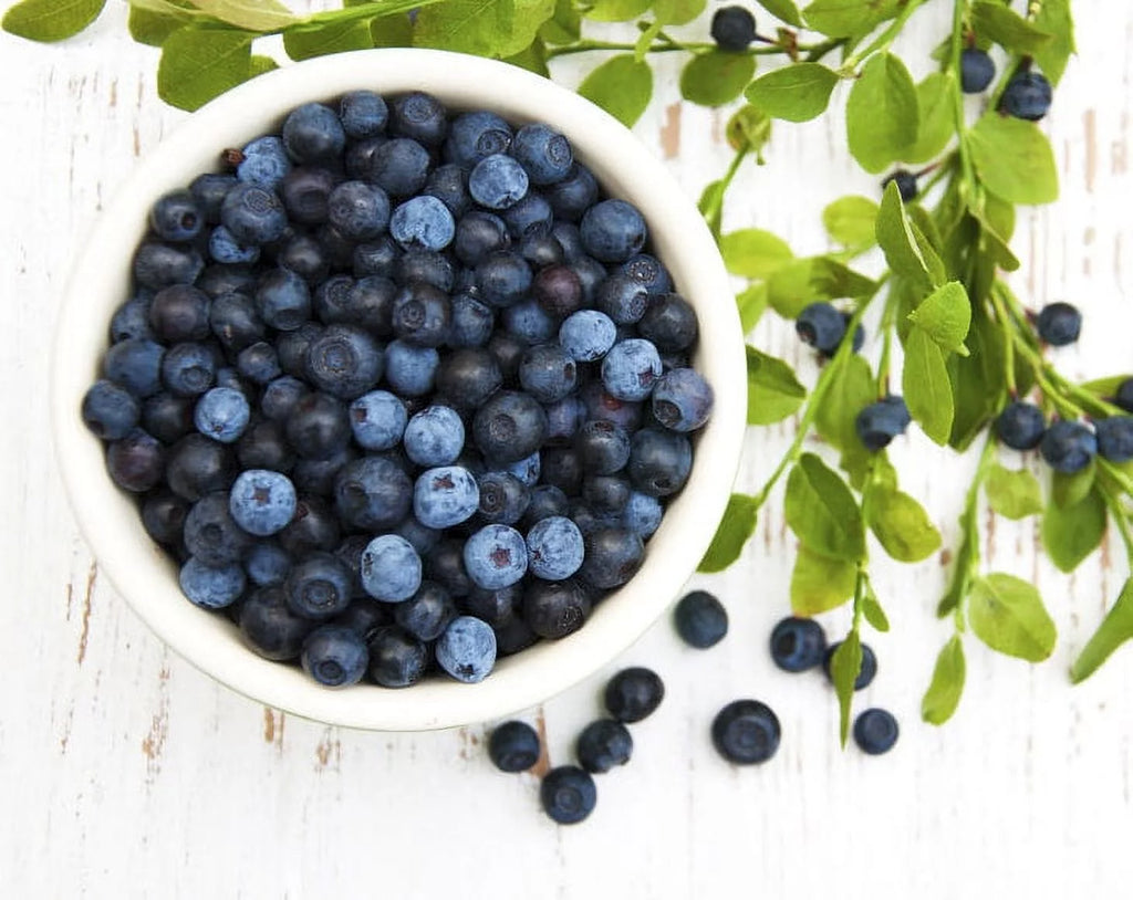 Organic Dried Blueberries, 8 Pounds F34356