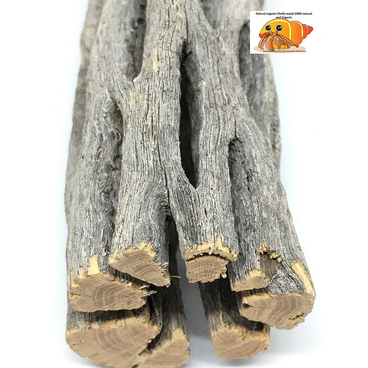 Natural Cholla Wood 3 Pieces Aquarium Decoration J54562