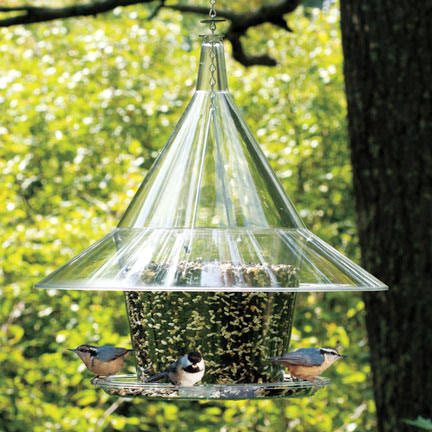 Bluebird Feeder V511