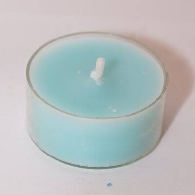 Mint Unscented Tealight Candle Set of 12 B1670