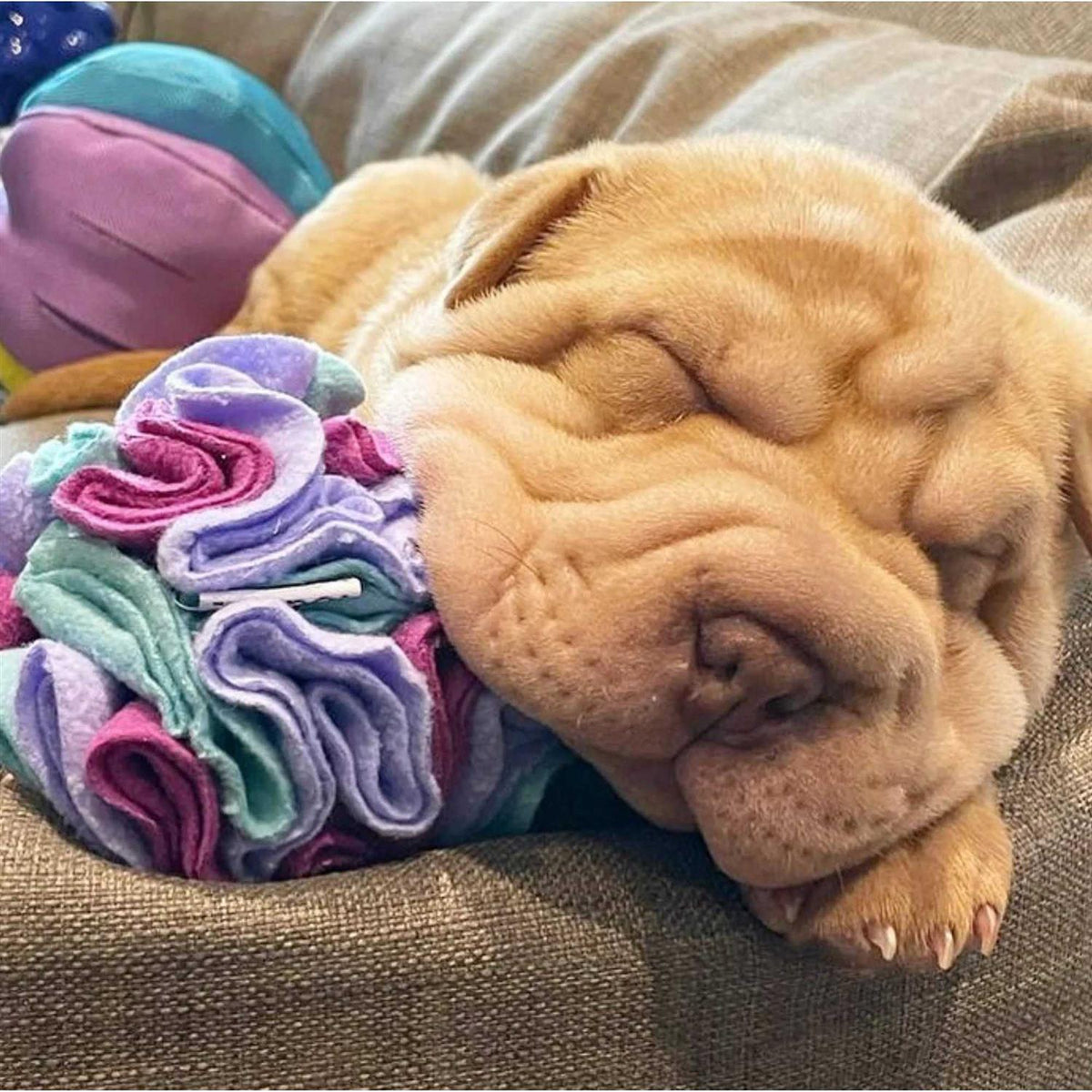 Snuffle Balls Dog Toy O6110