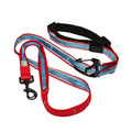 Dog Leash H698380