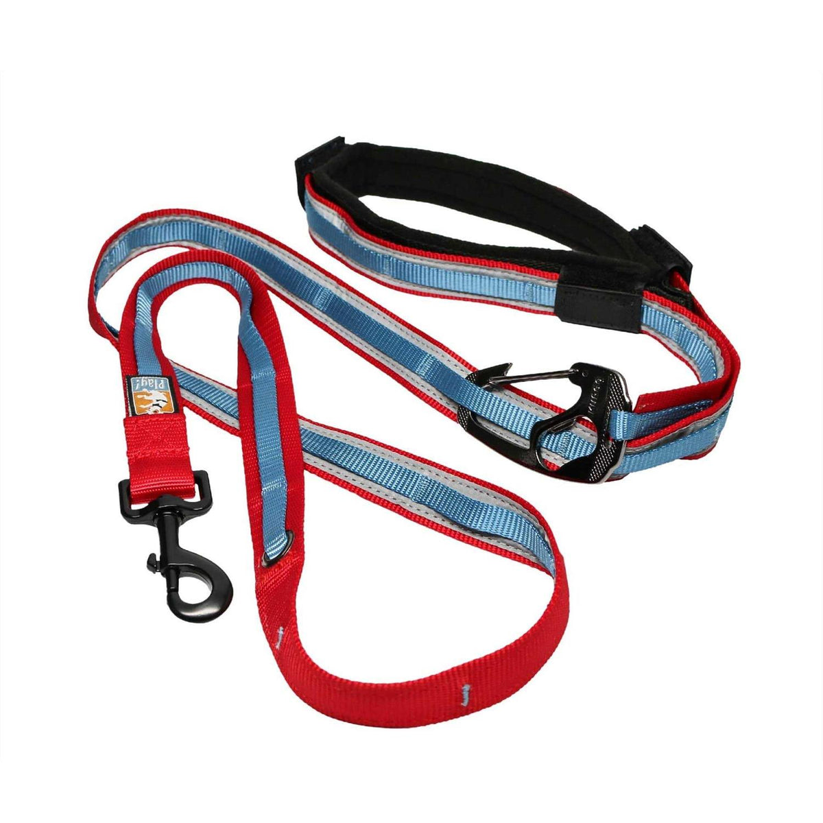 Dog Leash H698380