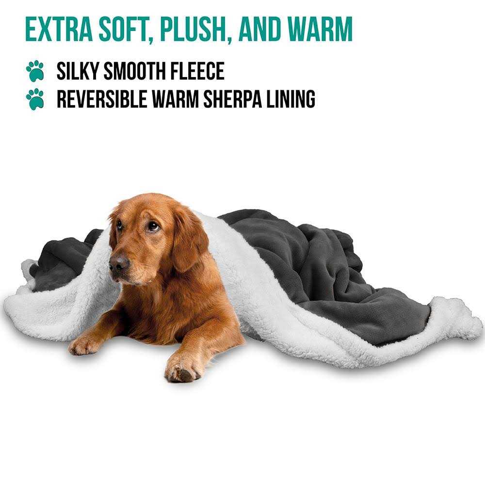 Dog Blanket V37869