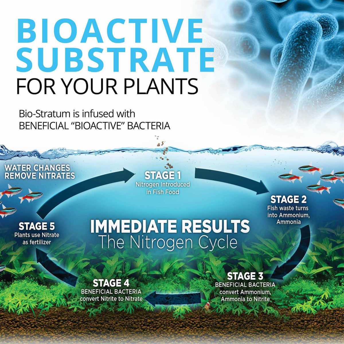 Bio Stratum Fluval - Pet Supplies J867