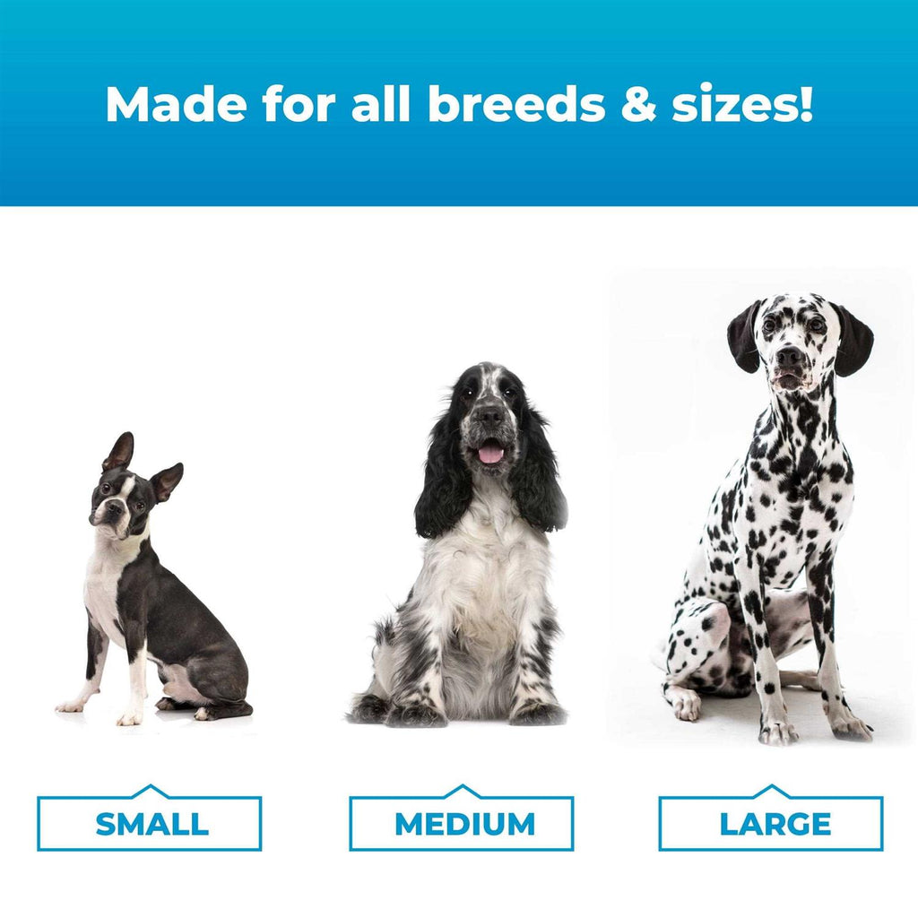 Calming Supplement for Dogs V444217