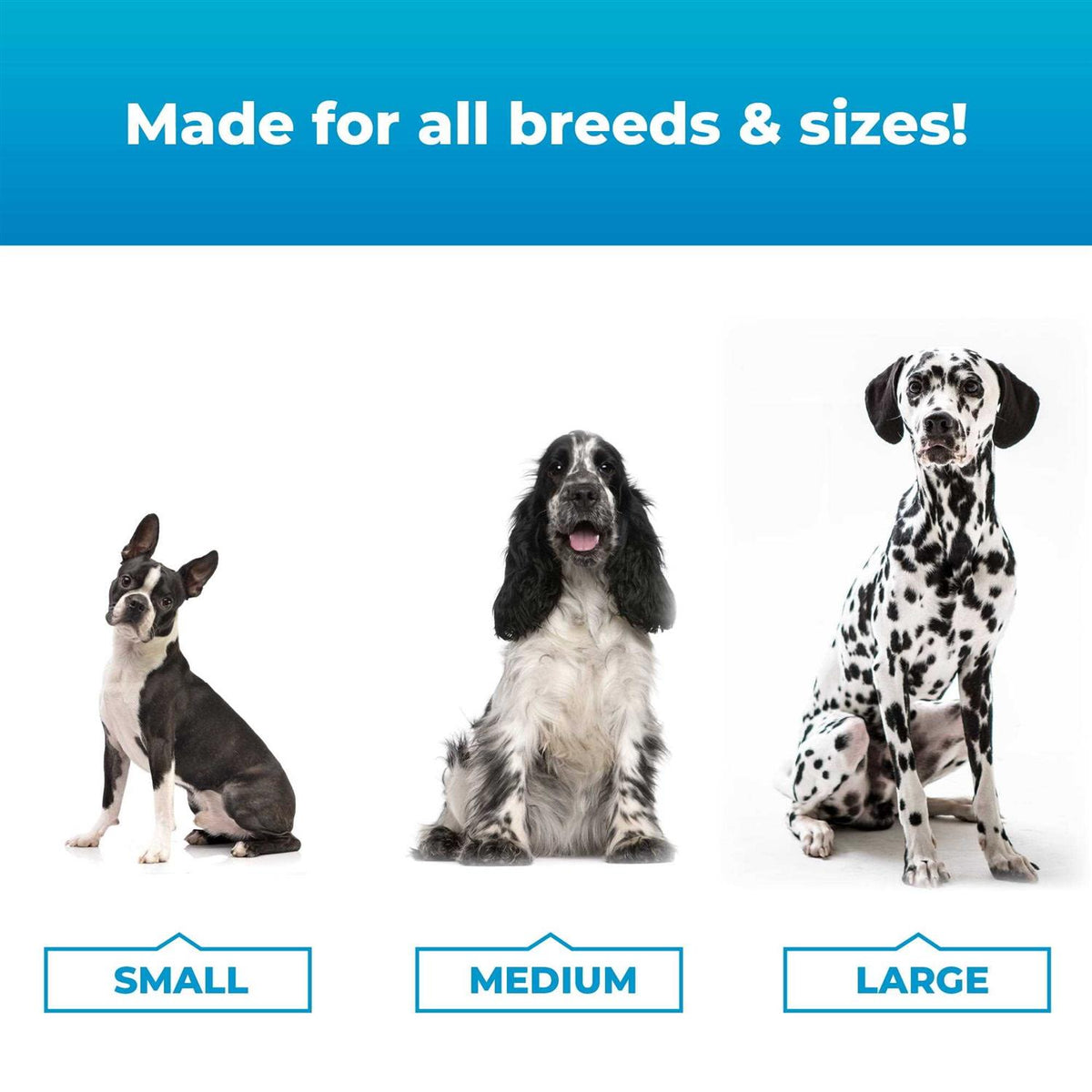 Calming Supplement for Dogs V444217
