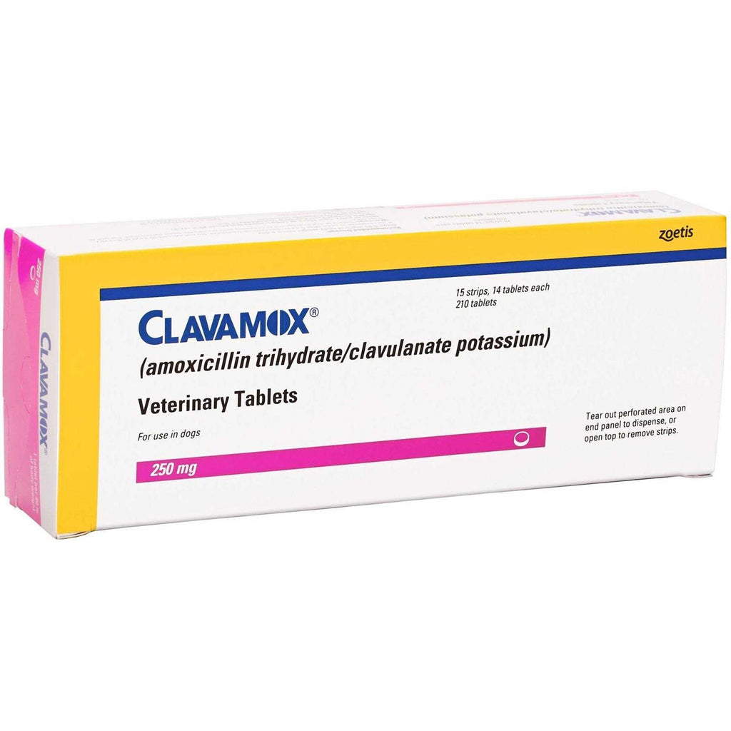 Chewable X9310