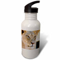 21 oz Sports Water Bottle H92646