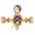 Bronze 1 in. NPT Emergency Mixing Valve D522773