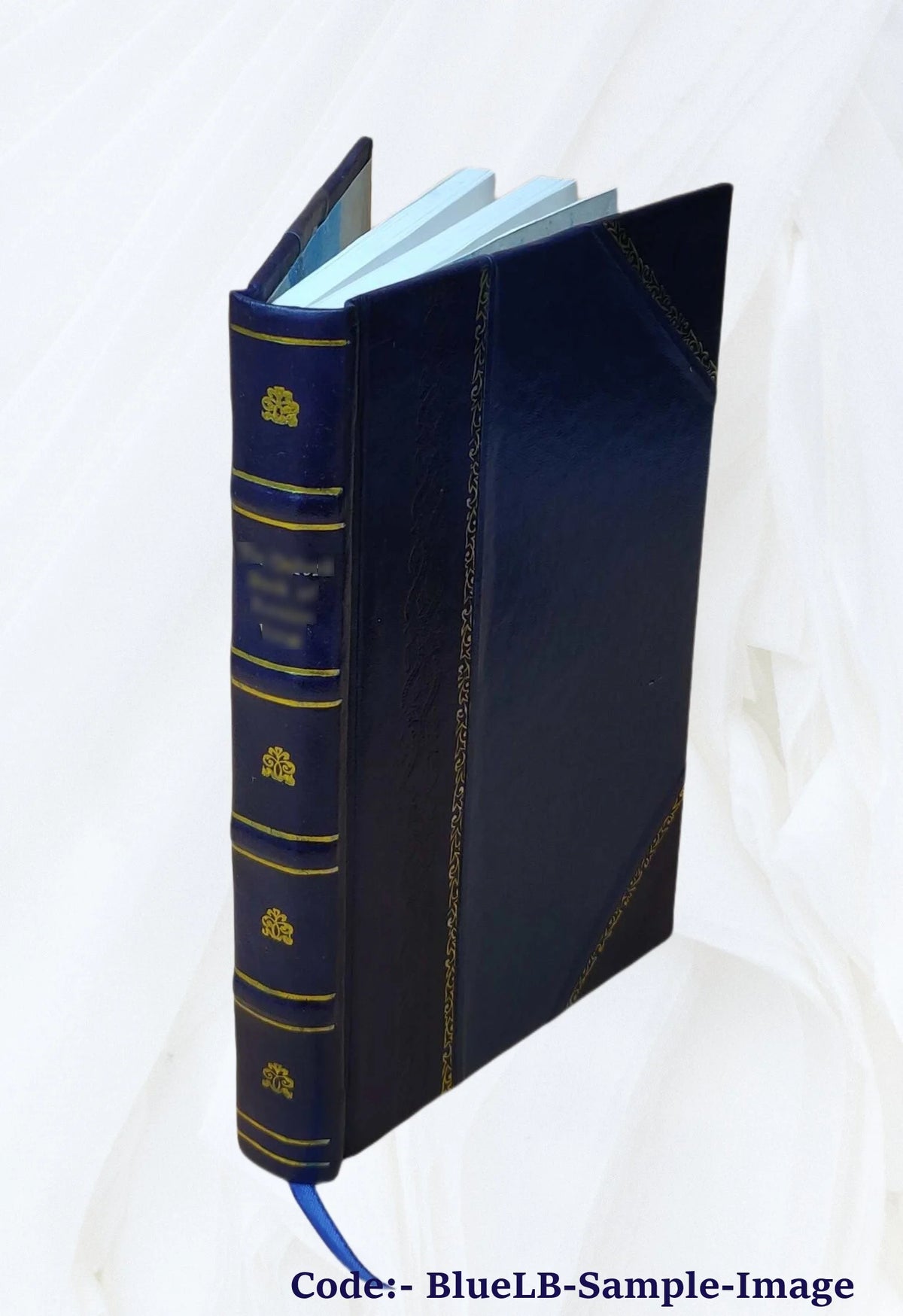 Leather Bound Book U752733