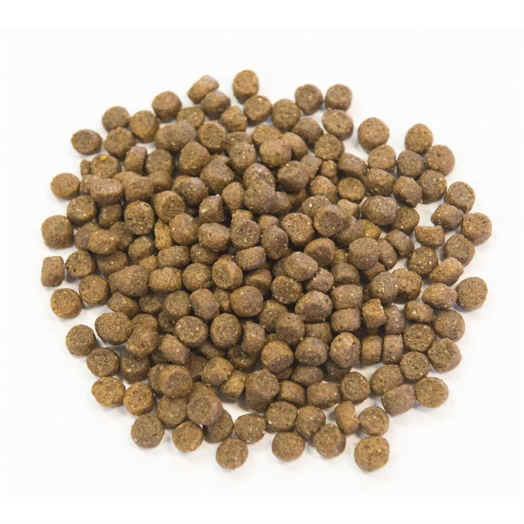 Ancient Grains with Chicken Dog Food Z17515
