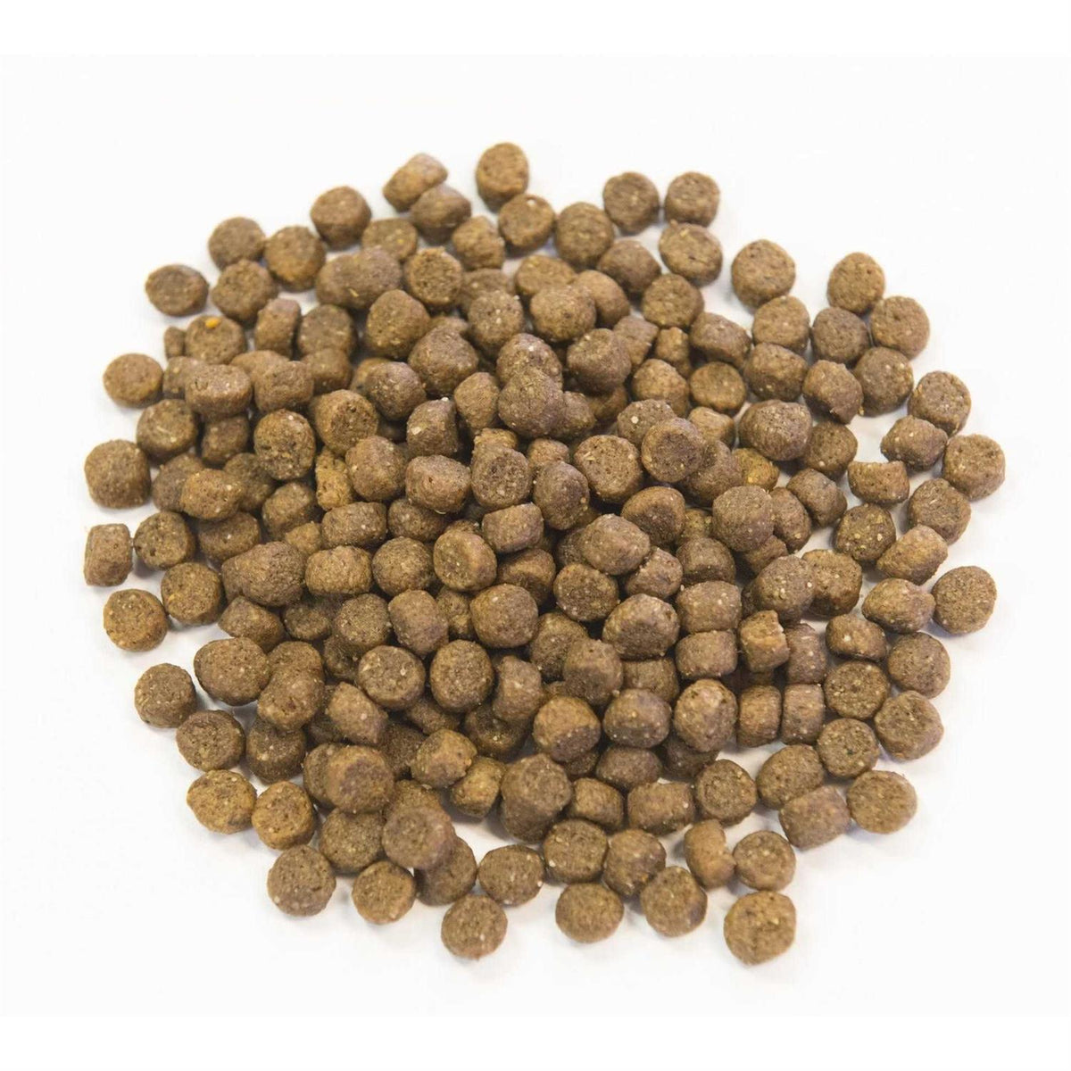 Ancient Grains with Chicken Dog Food Z17515