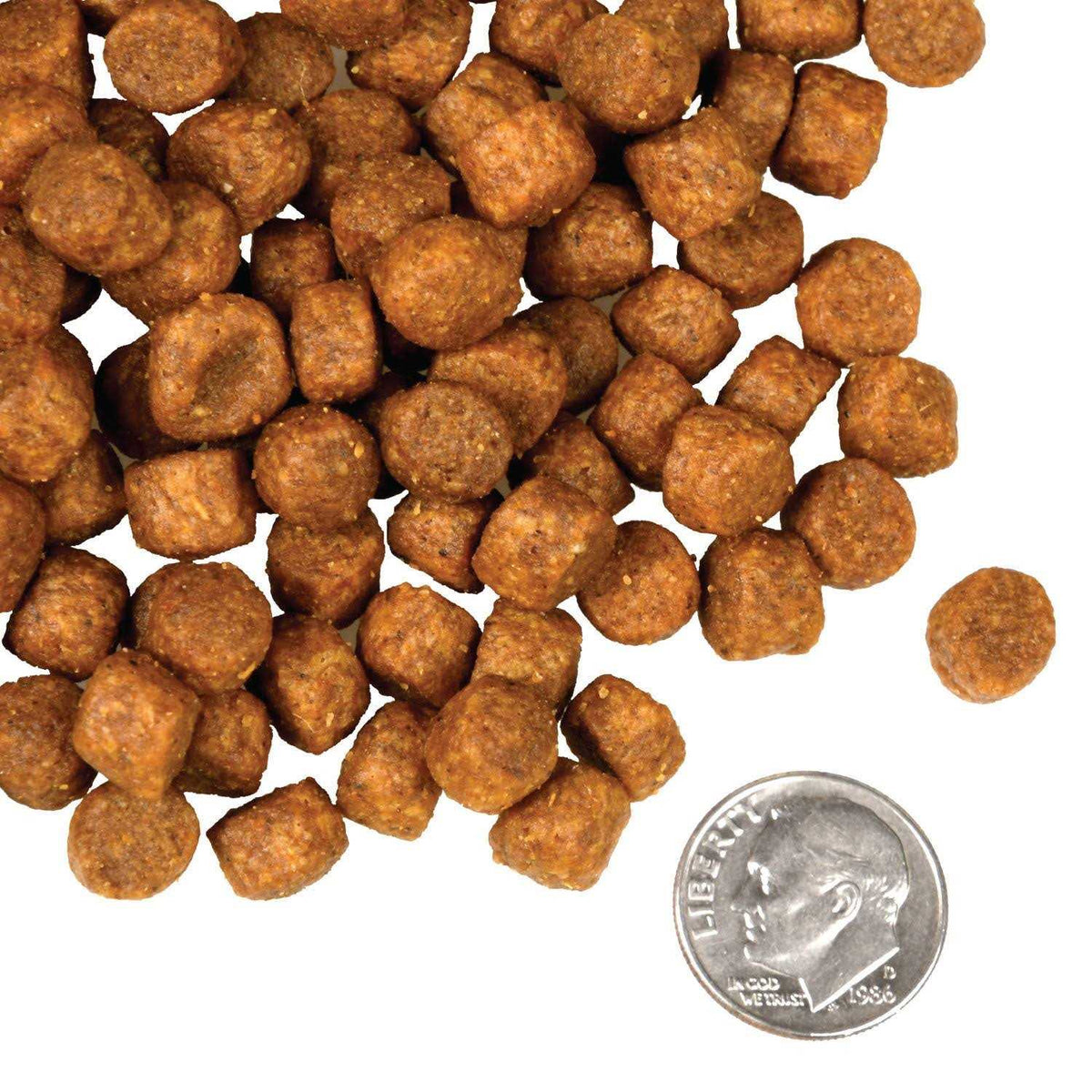 Dry Dog Food F90991
